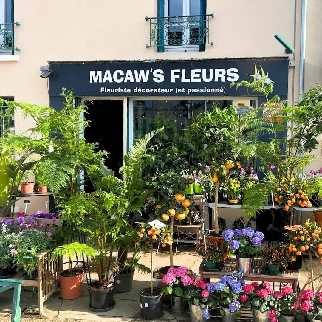 Macaw's Fleurs, fleuriste décorateur à Nanteuil-Lès-Meaux